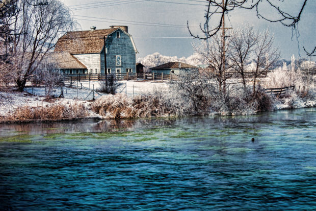 Winter scene